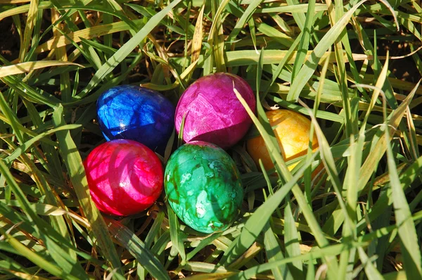 Huevos de Pascua en la hierba —  Fotos de Stock