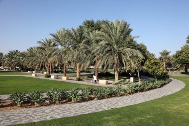 Park in Al Ain, United Arab Emirates clipart