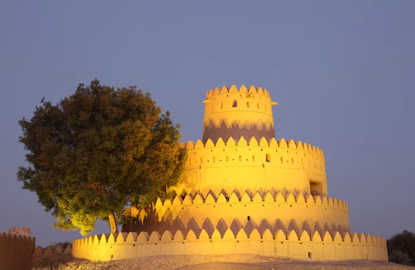 Mlha v parku在阿联酋的阿布扎比艾 al jahili 堡 — 图库照片
