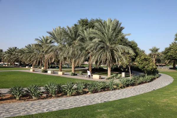 Park in al ain, Verenigde Arabische Emiraten — Stockfoto