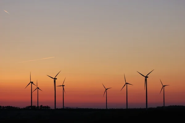 Turbinas eólicas y cielo al atardecer — Foto de Stock