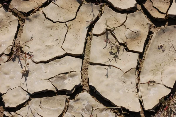 Треснувшая почва в пустыне — стоковое фото