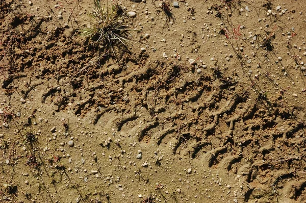 Traccia di pneumatici nel fango — Foto Stock