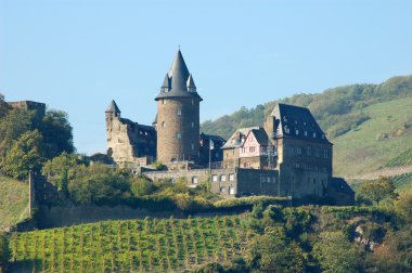 Ancient castle at Rhine River, Germany clipart