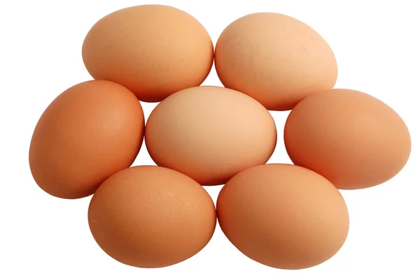 Sieben Eier isoliert auf weißem Hintergrund — Stockfoto