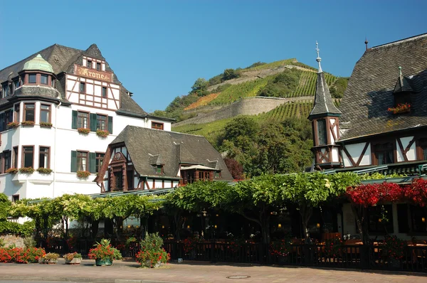 Half-timbered Houses with a Vineyard in the Background — Stock Photo, Image