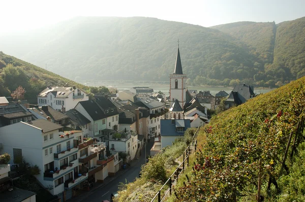 Wijn dorp aan de rivier de Rijn, Duitsland — Stockfoto