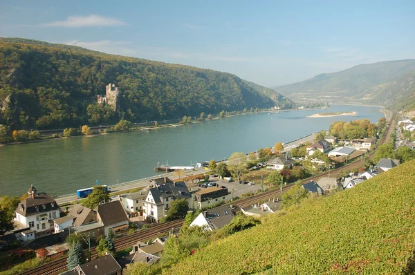 Winnica i rzeki Ren, assmanshausen Niemcy — Zdjęcie stockowe