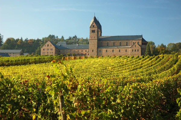 Монастырь с виноградником, Германия — стоковое фото