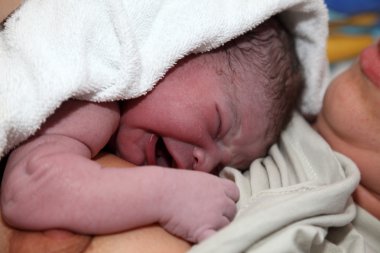 Newborn baby minutes after birth clipart