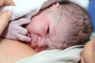 Newborn baby minutes after the birth clipart