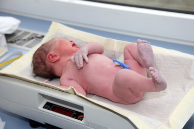 Newborn baby on the balance clipart