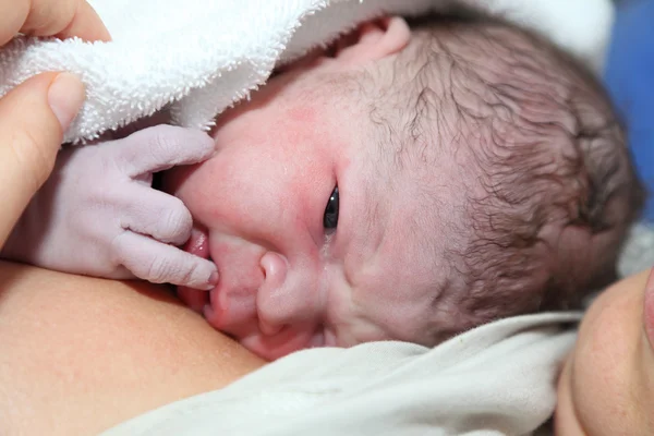 Newborn baby minutes after the birth — Stock Photo, Image