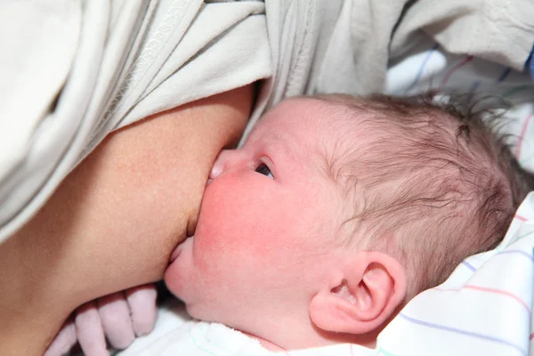 Eerste borstvoeding geeft van een pasgeboren baby — Stockfoto