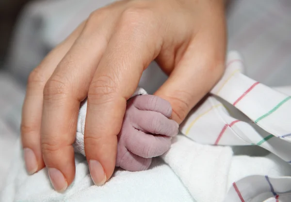 Mother holding newborn babys little hand — Stock Photo, Image