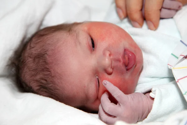 Novorozeně minut po narození — Stock fotografie