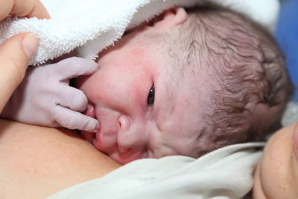 Νεογέννητο μωρό λεπτά μετά τη γέννηση Royalty Free Φωτογραφίες Αρχείου
