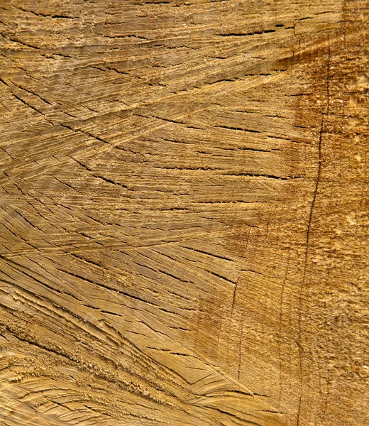 Holz Textur Hintergrund mit vielen Details — Stockfoto
