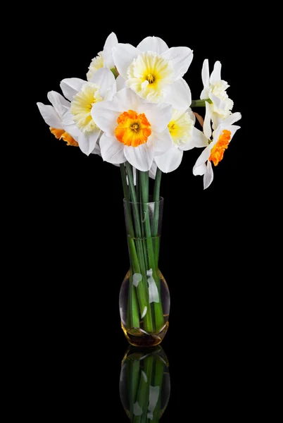 从美丽的白水仙孤立在黑色背景上的花瓶里的花束 — 图库照片