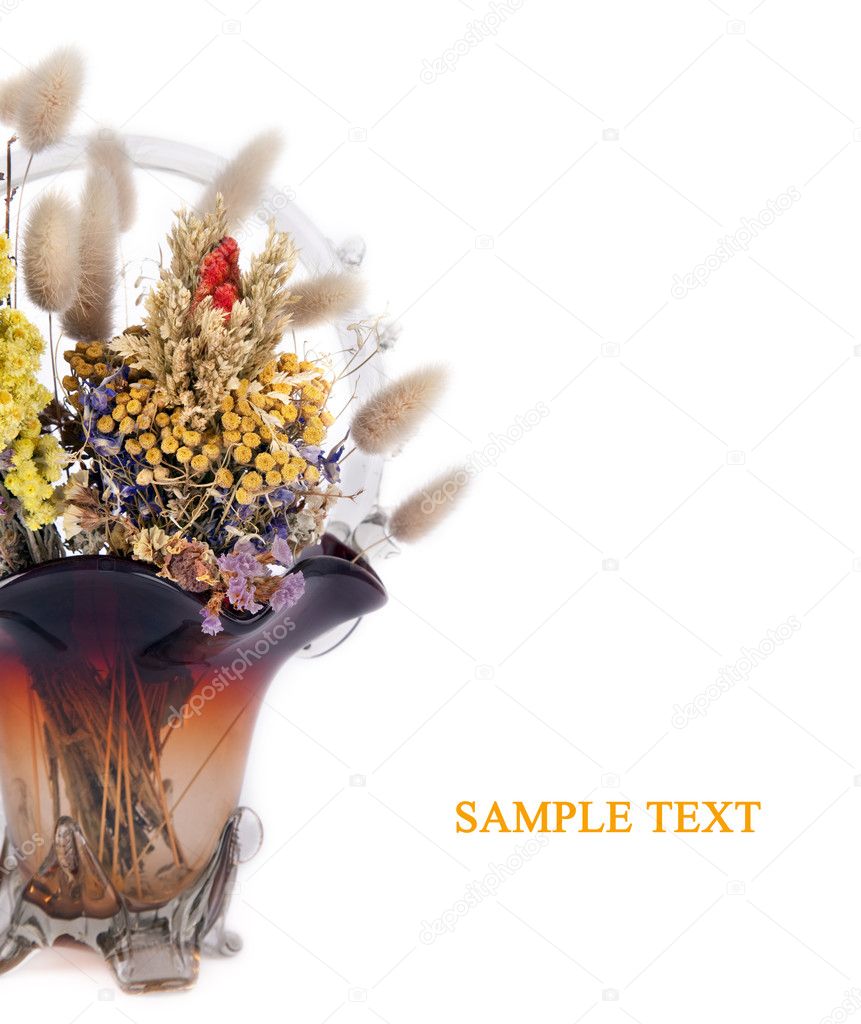 Vase with dried flowers isolated on white background
