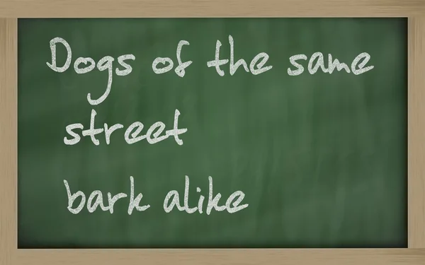 " Dogs of the same street bark alike " written on a blackboard — Stock Photo, Image