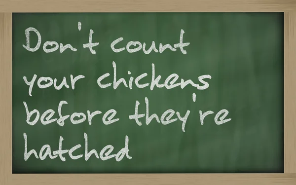 " Não conte suas galinhas antes de serem chocadas "wr — Fotografia de Stock