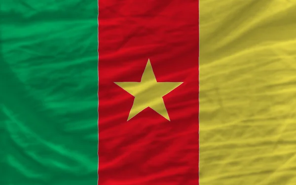 Bandera nacional ondeada completa de camerún para el fondo — Foto de Stock