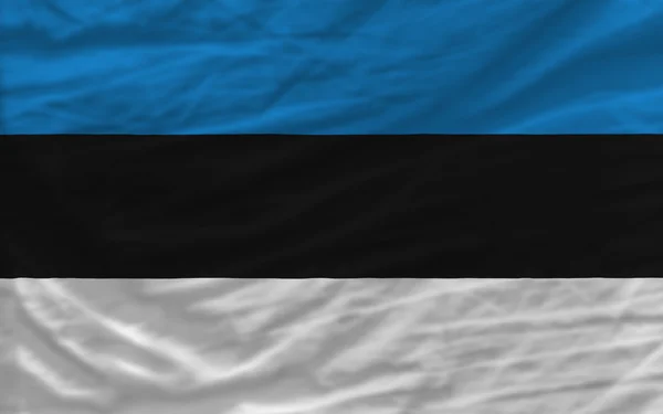 完成挥手的国旗，爱沙尼亚为背景 — 图库照片