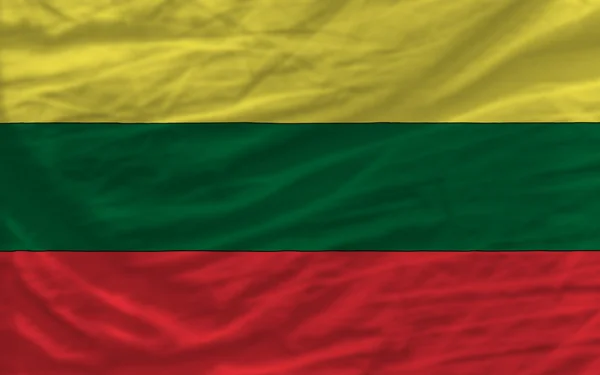 Complete waved national flag of lithuania for background — Stock Photo, Image
