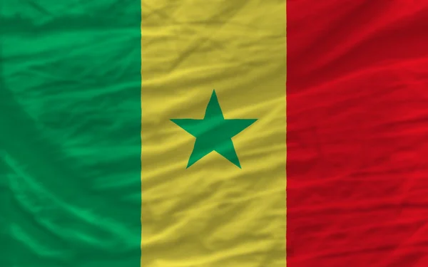 Полностью размахивал национальным флагом Сенегала на заднем плане — стоковое фото