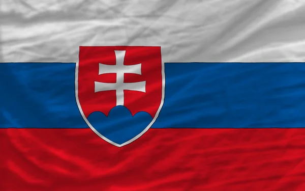 Kompletní zamával státní vlajka Slovenska pro pozadí — Stock fotografie