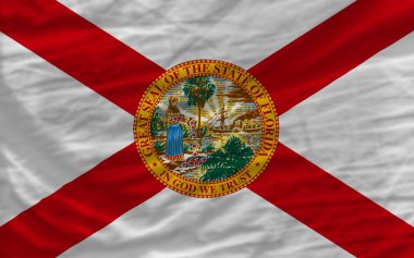 Complete waved flag of american state of florida for background clipart