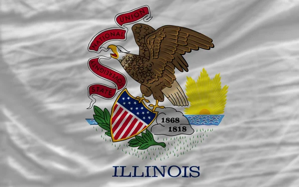 Complete waved flag of american state of illinois for background — Stock Photo, Image