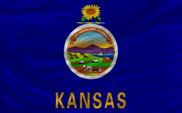 Complete waved flag of american state of kansas for background — Stock Photo, Image