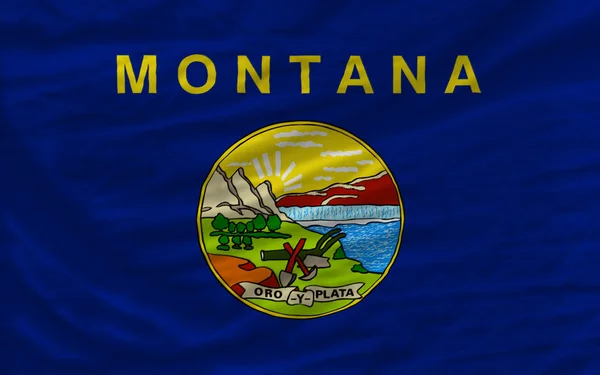 Complete waved flag of american state of montana for background — Stock Photo, Image