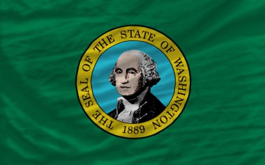 Complete waved flag of american state of washington for backgrou clipart