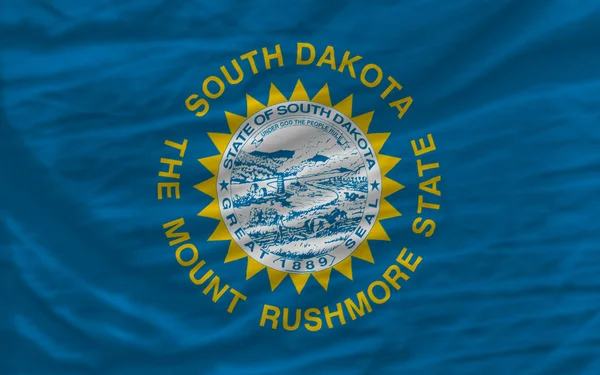 Tam dalgalı bayrak, Amerikan Devlet Güney dakota backgr için — Stok fotoğraf