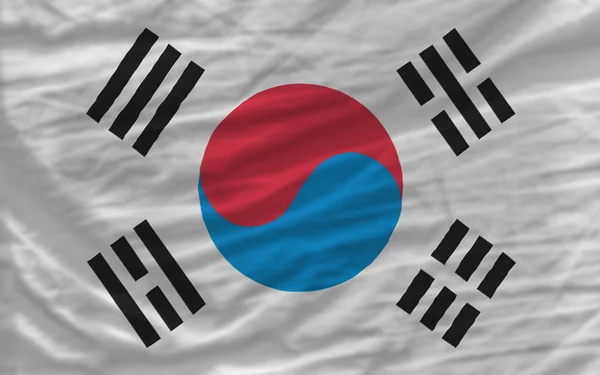 Komplett vinkat nationella flagga Sydkorea för bakgrund — Stockfoto