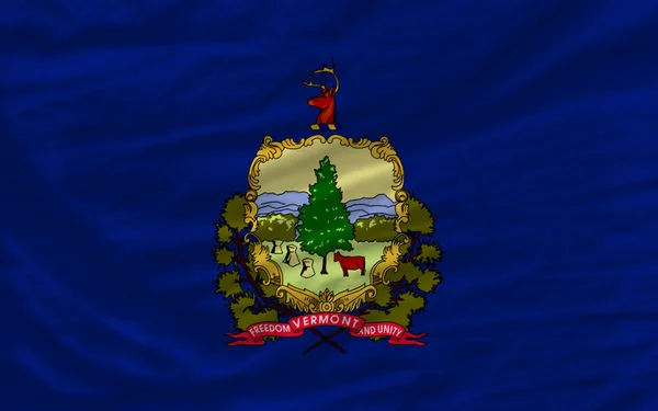 Komplett geschwenkte Flagge des amerikanischen Bundesstaates Vermont im Hintergrund — Stockfoto