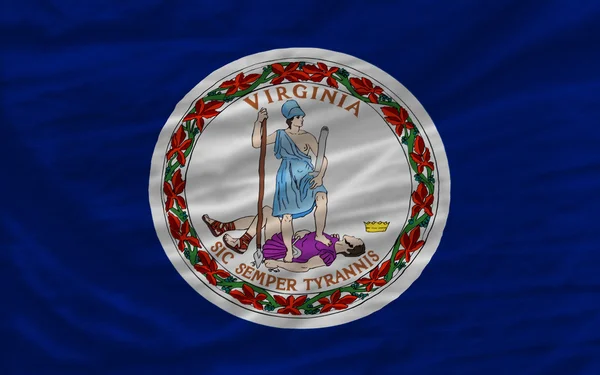 Kompletní zamával vlajka amerického státu Virginie na pozadí — Stock fotografie