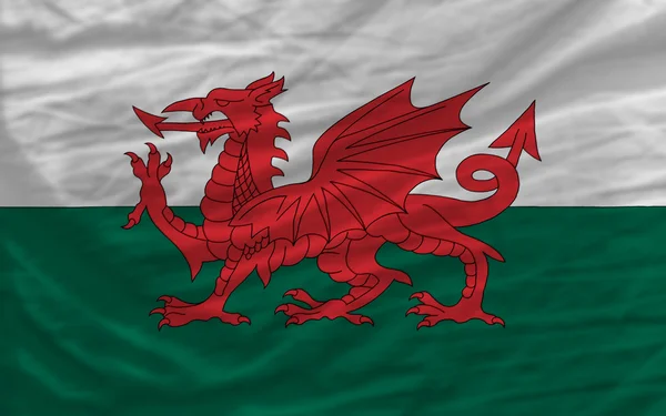 Полный размахивал национальным флагом Уэльса на заднем плане — стоковое фото