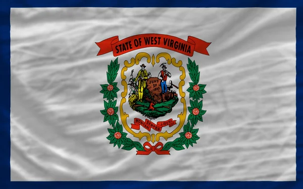 Bandeira ondulada completa do estado americano de Virgínia Ocidental para backg — Fotografia de Stock