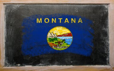 Bizi montana state tebeşir ile boyanmış tahta üzerinde bayrak
