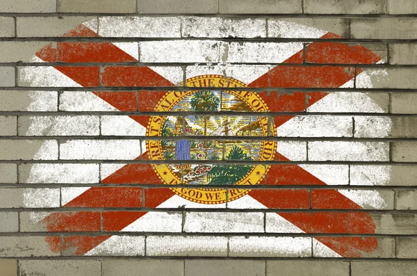 Флаг американского штата Флорида на стене с брикетами расписан буквой "Ш" — стоковое фото