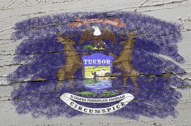 Flag of US state of michigan on grunge wooden texture precise pa clipart