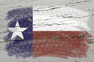 Flag of US state of texas on grunge wooden texture precise paint clipart