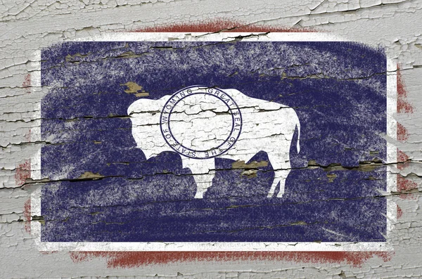 Flag of US state of wyoming on grunge wooden texture precise pai — Stock Photo, Image