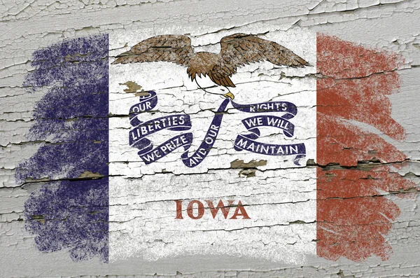 Bize Iowa eyalet grunge ahşap doku kesin painte üzerinde bayrak — Stok fotoğraf
