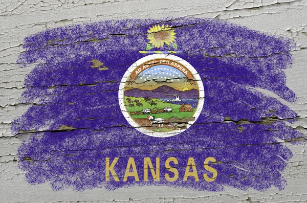 Flag of US state of kansas on grunge wooden texture precise pain — Stock Photo, Image