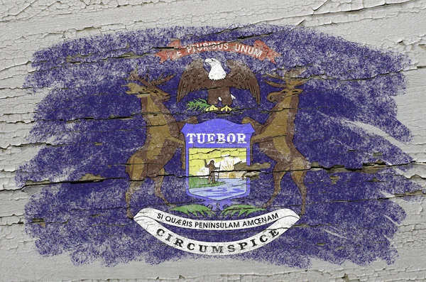 Flagge von uns Staat Michigan auf Grunge-Holz Textur präzise pa — Stockfoto